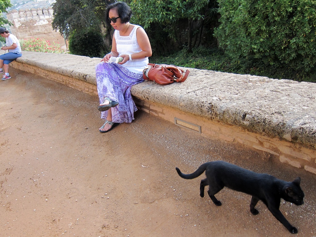 Nella and Alcazaba Cat
